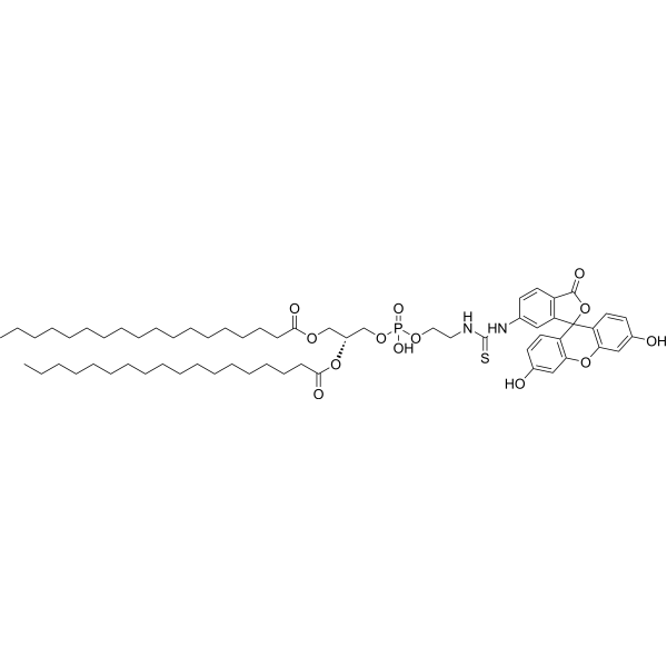 DSPE-Fluorescein 2933358-06-4